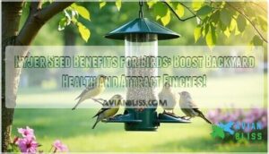 nyjer seed benefits for birds