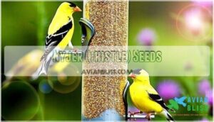 nyjer (thistle) seeds