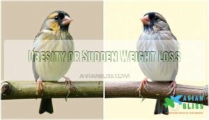 obesity or sudden weight loss