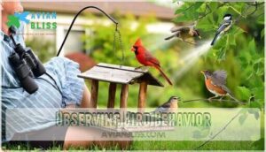 observing bird behavior