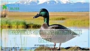 occasional sightings outside core range