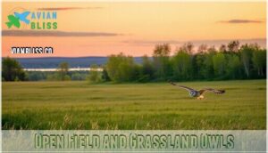 open field and grassland owls