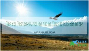open grasslands and alpine regions