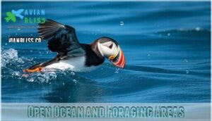 open ocean and foraging areas