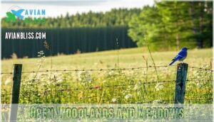 open woodlands and meadows