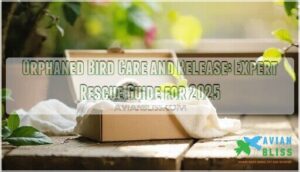 orphaned bird care and release