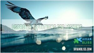 osprey adaptations for fishing