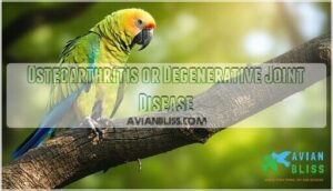 osteoarthritis or degenerative joint disease