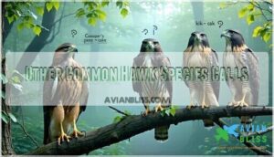 other common hawk species calls