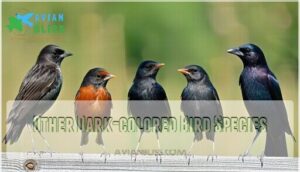 other dark-colored bird species