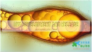 ova development and release