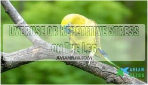 overuse or repetitive stress on the leg