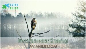 overwintering habitats