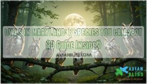 owls in maryland