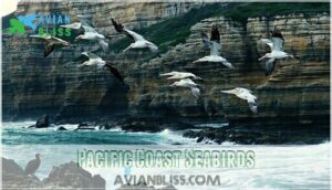 pacific coast seabirds