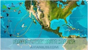 pacific flyway route mapping