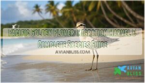 pacific golden plover