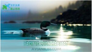 pacific loon habitat