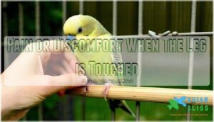 pain or discomfort when the leg is touched