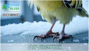 pain perception