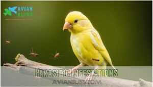 parasitic infestations