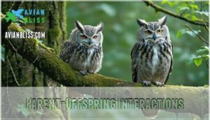 parent-offspring interactions