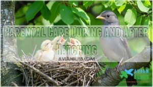 parental care during and after hatching