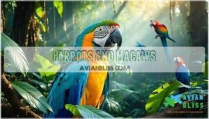 parrots and macaws