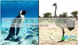 penguins vs. flightless birds