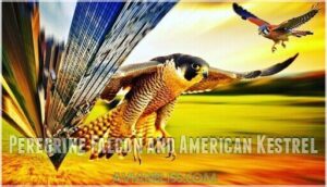 peregrine falcon and american kestrel