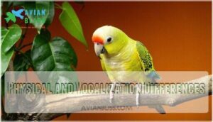 physical and vocalization differences