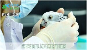 physical examination