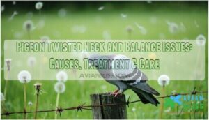 pigeon twisted neck and balance