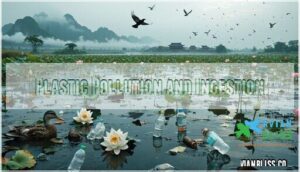 plastic pollution and ingestion plastic pollution and ingestion