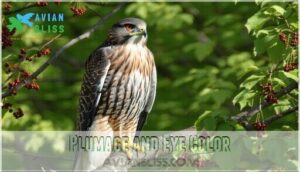 plumage and eye color