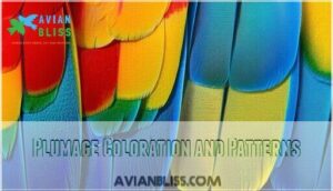 plumage coloration and patterns plumage coloration and patterns