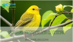 plumage patterns and markings
