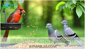 popular bird species attracted