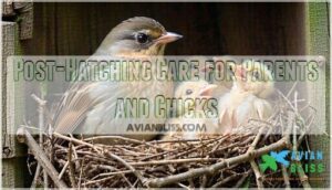 post-hatching care for parents and chicks post-hatching care for parents and chicks