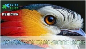 post-processing tips for stunning results post-processing tips for stunning results