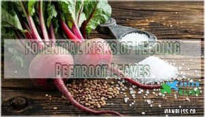potential risks of feeding beetroot leaves