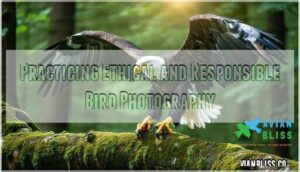 practicing ethical and responsible bird photography practicing ethical and responsible bird photography