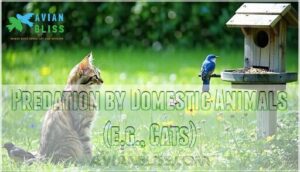 predation by domestic animals (e.g., cats)