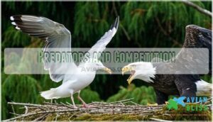 predators and competition