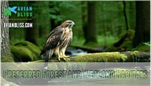 preferred forest and wetland habitats