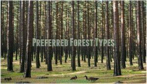 preferred forest types