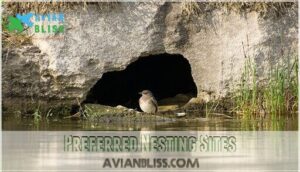 preferred nesting sites