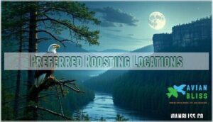 preferred roosting locations