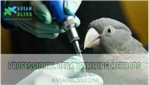 professional beak trimming methods