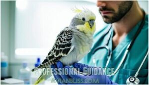 professional guidance